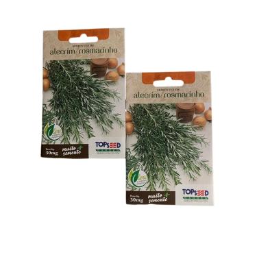 Imagem de 2X Sementes de Alecrim Rosmarinho Ervas Temperos Horta (4)