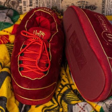 Imagem de Pantufa Harry Potter Plataforma 9 ¾ 36/38