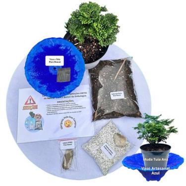 Imagem de Kit Bonsai Faça Você Mesmo Com Uma Muda De Tuia Anã - Vaso Artesanal A