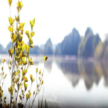 Imagem de Quadro Decorativo Paisagem de Verão com Folhagem Verde - Arte para Sua Casa Tamanho 40x40cm