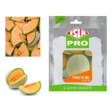 Imagem de Sementes de Melao Pingo de Mel Cartela c/ 50 Sementes - ISLA SEMENTES