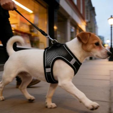 Imagem de Peitoral para cães sem puxão, colete de malha dupla para cães pequenos e médios, ajustável, macio, sem estrangulamento (PP)