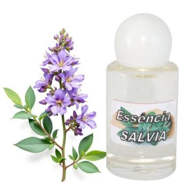 Imagem de Essência Sálvia 10ml  Aromatização  Purificação  Proteção Espiritual -