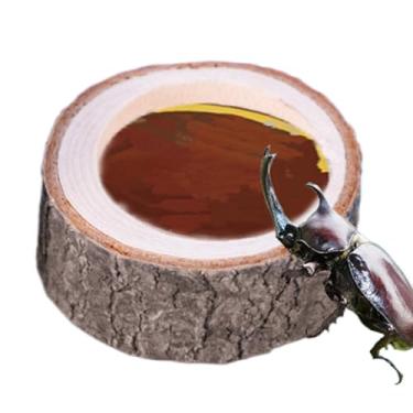 Imagem de Prato de comida de tartaruga, prato de alimentação para répteis – copo de grão de , acessórios de habitat para tartaruga, caranguejo eremita, sapo, dragão barbudo, , lagarto, aquários