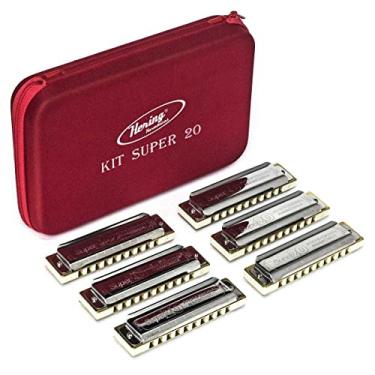 Imagem de Kit 6 Gaitas Diatônicas Hering Super 20 80120 Com Case