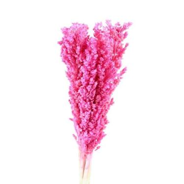 Imagem de Sorgo Rosa Claro Desidratado p/ Decoração - Tem Flores
