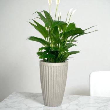Imagem de Vaso decorativo para plantas coluna Romana em polietileno 33x23 (Cinza)