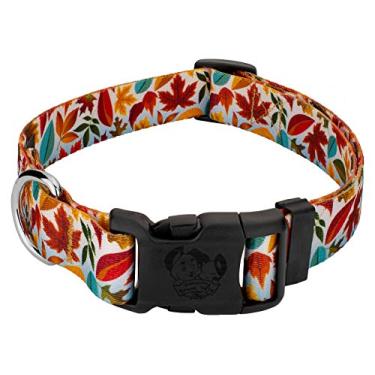 Imagem de Country Brook Petz – Coleira de luxo para cães de outono – Incrível coleção de outono com 6 designs que você vai se apaixonar (2,5 cm, médio) - Feita nos EUA