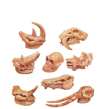 Imagem de Conjunto de estatuetas de crânio de mamífero pré-histórico, 8 peças para crianças e colecionadores