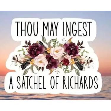 Imagem de 3 adesivos engraçados - Decalques multisuperfícies para mala, geladeira, capacete - presentes divertidos para mulheres e homens, melhor amigo