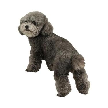 Imagem de Escadas Para Animais De Estimação Antiderrapantes 2 3 Degraus Rampas D