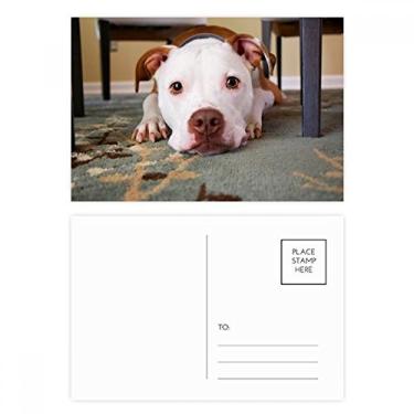 Imagem de White Bulldog Conjunto de cartão postal de aniversário para animais de estimação