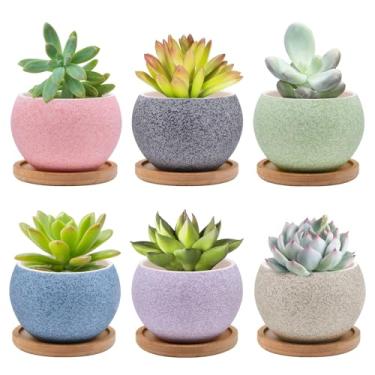 Imagem de Pacote com 6 vasos de cerâmica para suculentas com drenagem – Pequenos vasos redondos para plantas de interior e cactos, mini vasos de flores com bandejas de bambu, mesa e decoração de casa, presente