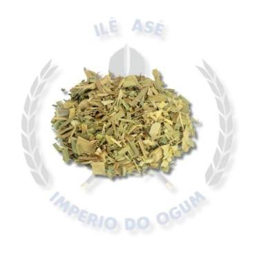 Imagem de Ervas secas - cana do brejo - Nacional