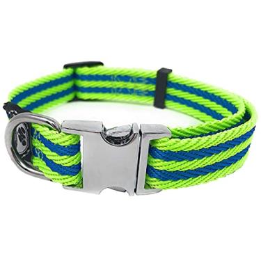 Imagem de Regal Dog Products Coleira para animais de estimação grande verde limão/azul com fivela de metal e anel D | Coleira de cachorro ajustável durável, fecho de metal reforçado e correia de nylon | Outros