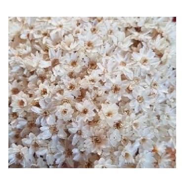 Imagem de Flor Sempre Viva Branca I Kit com ate 1.200 Flores Secas, Buquês, Decoração de Casamento e Eventos - Beleza Natural Eterna(Branco Natural,1buquê)
