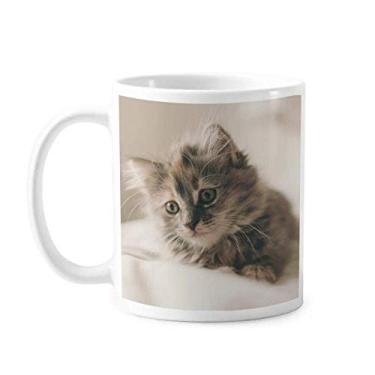 Imagem de Caneca de foto de gato cinza animal gatinho cerâmica copo de porcelana café louça