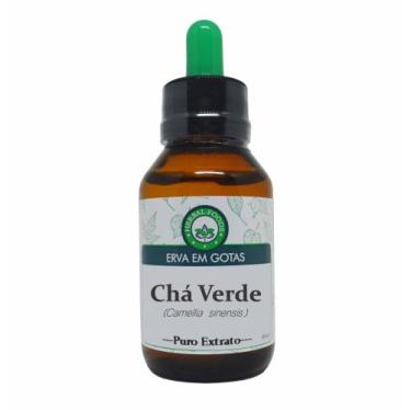 Imagem de Chá Verde - Extrato 60ml (Tintura Mãe) - Herbal Foods