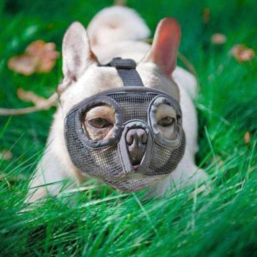 Imagem de Focinheira Cachorro Buldogue Regulável Respirável para Pug Bulldog Shi