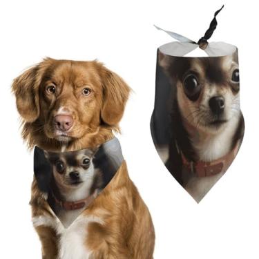 Imagem de Cachecol de poliéster triângulo estampado Chihuahua fofo para animais de estimação - Tamanho único (70 x 30 cm)