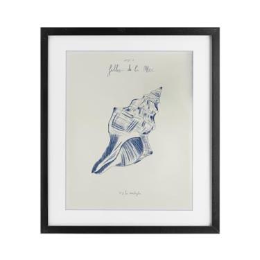 Imagem de Stupell Industries Filles De La Mer Conch Shell Impressão emoldurada preta sob vidro design por 1x, 16 x 13