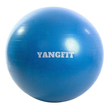 Imagem de 5X Bola Pilates Suíça Exercícios Yoga 55Cm Com Bomba De Infl