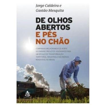Imagem de De Olhos Abertos e Pés no Chão: Uma Grande Epopeia de Empreendedorismo
