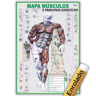 Imagem de Mapa Enrolado de Anatomia Humana Músculos E Principais Exercícios - Fi