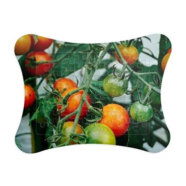 Imagem de Moldura de frutas temperadas frescas para decoração de quadros, enfeite de quebra-cabeça