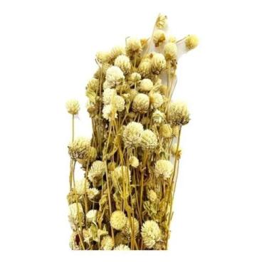 Imagem de Buque Flor De Perpétua Desidratada Seca Arranjo Decoração - FLORA FULL