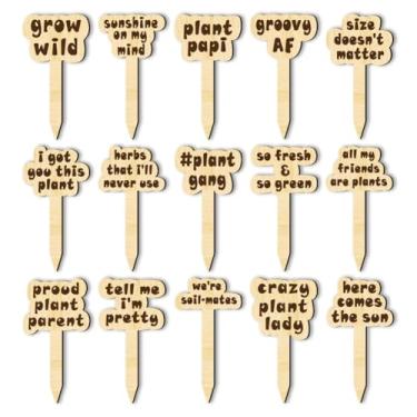 Imagem de arricraft 15 etiquetas de plantas de joke punny, marcadores de madeira, etiquetas tipo T, etiquetas de jardim com frase engraçada impressa, estacas de jardim de madeira para ambientes internos e