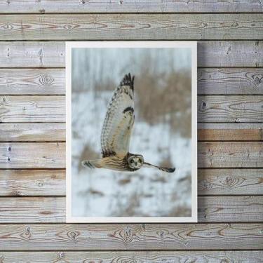 Imagem de Quadro Decorativo Foto Coruja Voando 45X34Cm - Com Vidro - Quadros On-