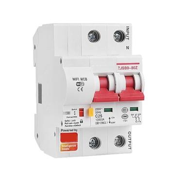 Imagem de Smart Life app 2p WiFi Circuit Breaker overload short circuit protection with home for Home(100A)