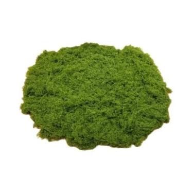 Imagem de Mini Plantas Verdes Artificiais, Musgo E Grama, 30, 50, 100g, Decoraçã