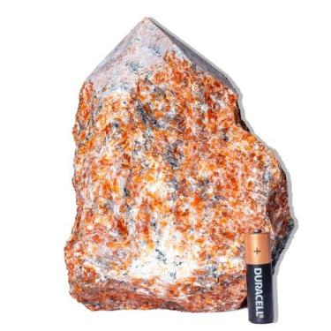 Imagem de 01 Calcita Laranja Pé e Bico Serrado 18 a 22cm 3 a 4kg Tipo B - Crista