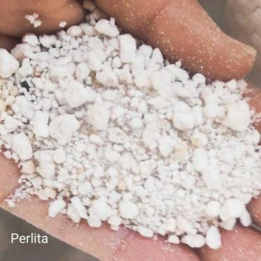 Imagem de Perlita expandida 5 litros - Suculentas e Cia
