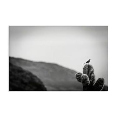 Imagem de Stupell Industries On Guard Bird & Cactus Canvas Wall Art Design por Wild Apple, 61 x 40 cm
