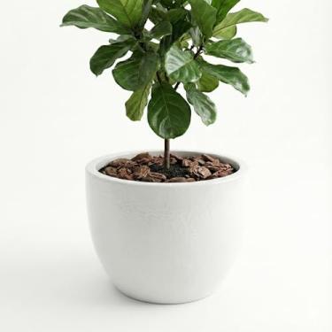 Imagem de Genérico Vaso Quadrado para Plantas Interno, Tamanho G, Preto, Plástico, Liso/Simples, Formato Quadrado, Chão, Vaso de Plantas, 15x12x11 cm