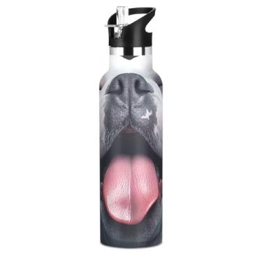 Imagem de Garrafa de água isolada de aço inoxidável de 590 ml com tampa de canudo para bebidas frias ou quentes, bonito buldogue cinza, arte de cachorro à prova de vazamento, parede dupla, copos infantis para