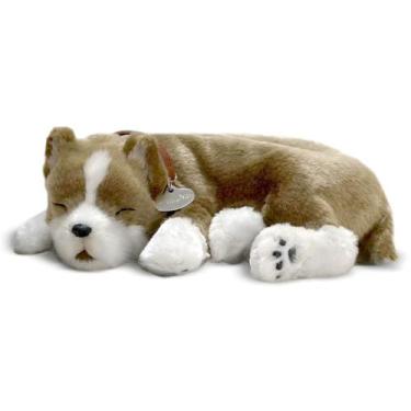 Imagem de Perfect PETZZZ Filhote Cachorro PIT BULL