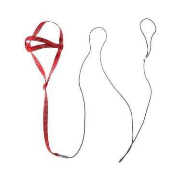 Imagem de Coleira E Guia Para Pássaros Pequenos, Periquitos, Calopsitas E Papaga