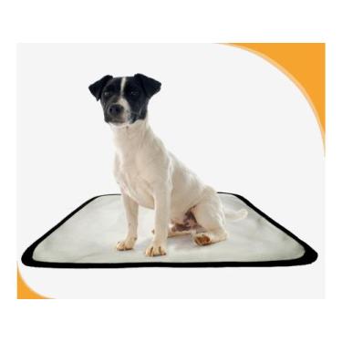 Imagem de Tapete Pet Banheiro Lavável Pet Em Oferta 2Un P 50X60Cm - Shelby Moda 