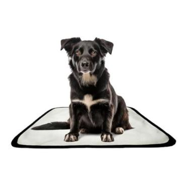 Imagem de Tapete Pet Reutilizável Adestrador Dog Oferta 7 Un P 50X60Cm - Shelby 
