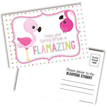 Imagem de Cartões postais em branco I Hope Your Spring Break Is Amazing Cute Flamingo Themed Blank para professores enviarem aos alunos, cartões de 10 x 15 cm da AmandaCreation (90)