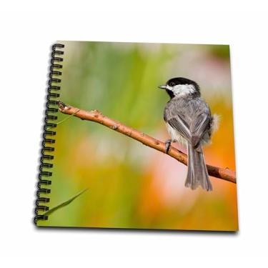 Imagem de 3dRose db_208112_1 Carolina Chickadee in Flower Garden Marion Illinois USA Livro de desenho, 20 x 20 cm