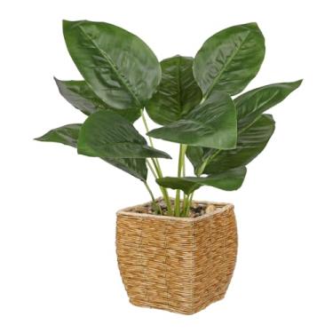 Imagem de Briful Plantas falsas em vaso de samambaia artificiais, vegetação realista, plantas artificiais em cestas quadradas de vime de plástico para decoração de casa, casa de fazenda, escritório, casamentos