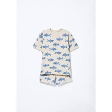 Imagem de Pijama Curto Infantil Menino Box Estampado-Masculino
