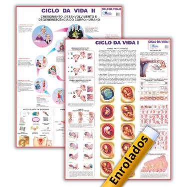 Imagem de Mapas de Anatomia Humana Enrolados: Ciclo da Vida 1 + Ciclo da Vida 2 
