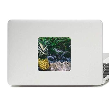 Imagem de Folha de abacaxi, imagem de planta, decalque natural, vinil, paster, laptop, decoração de policarbonato