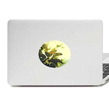 Imagem de Adesivo de vinil com emblema de folhas de sol, imagem de planta, decalque de notebook
